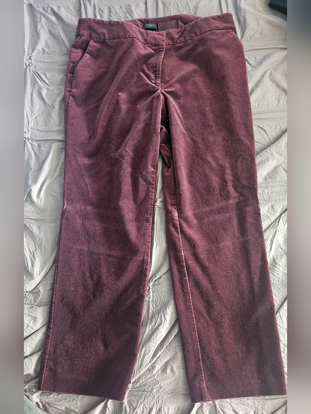 Ann Taylor Factory Velvet Pants